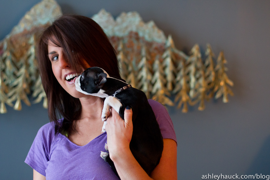 Puppy Portrait