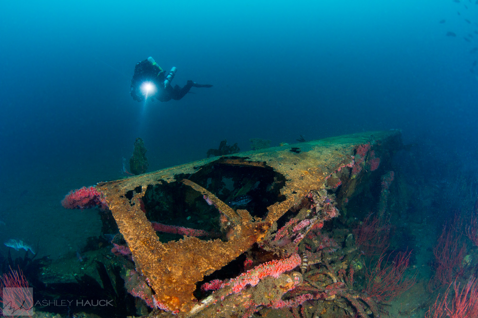 Updated Post: USS Hogan Wreck