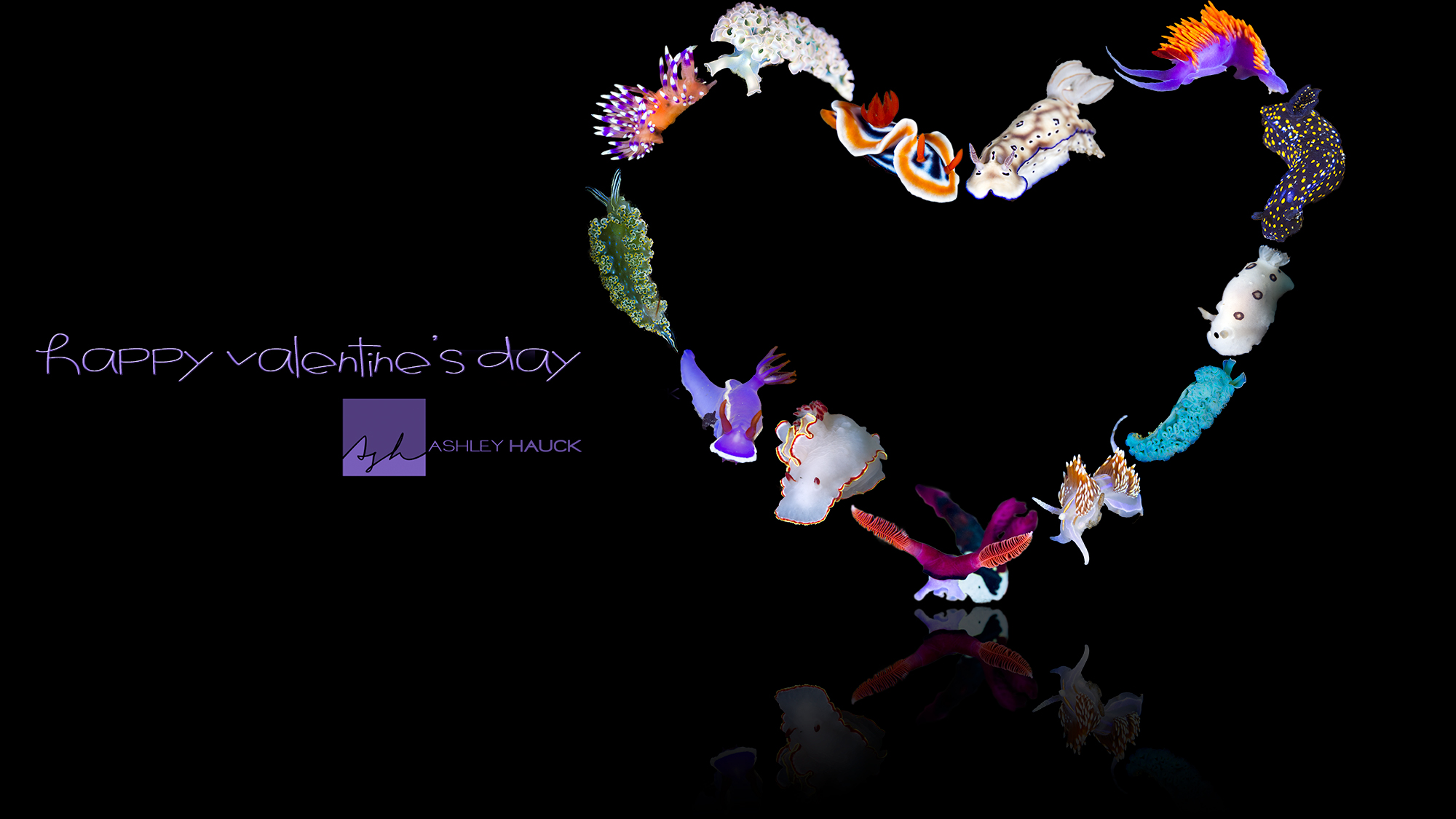 Nudibranch Valentine