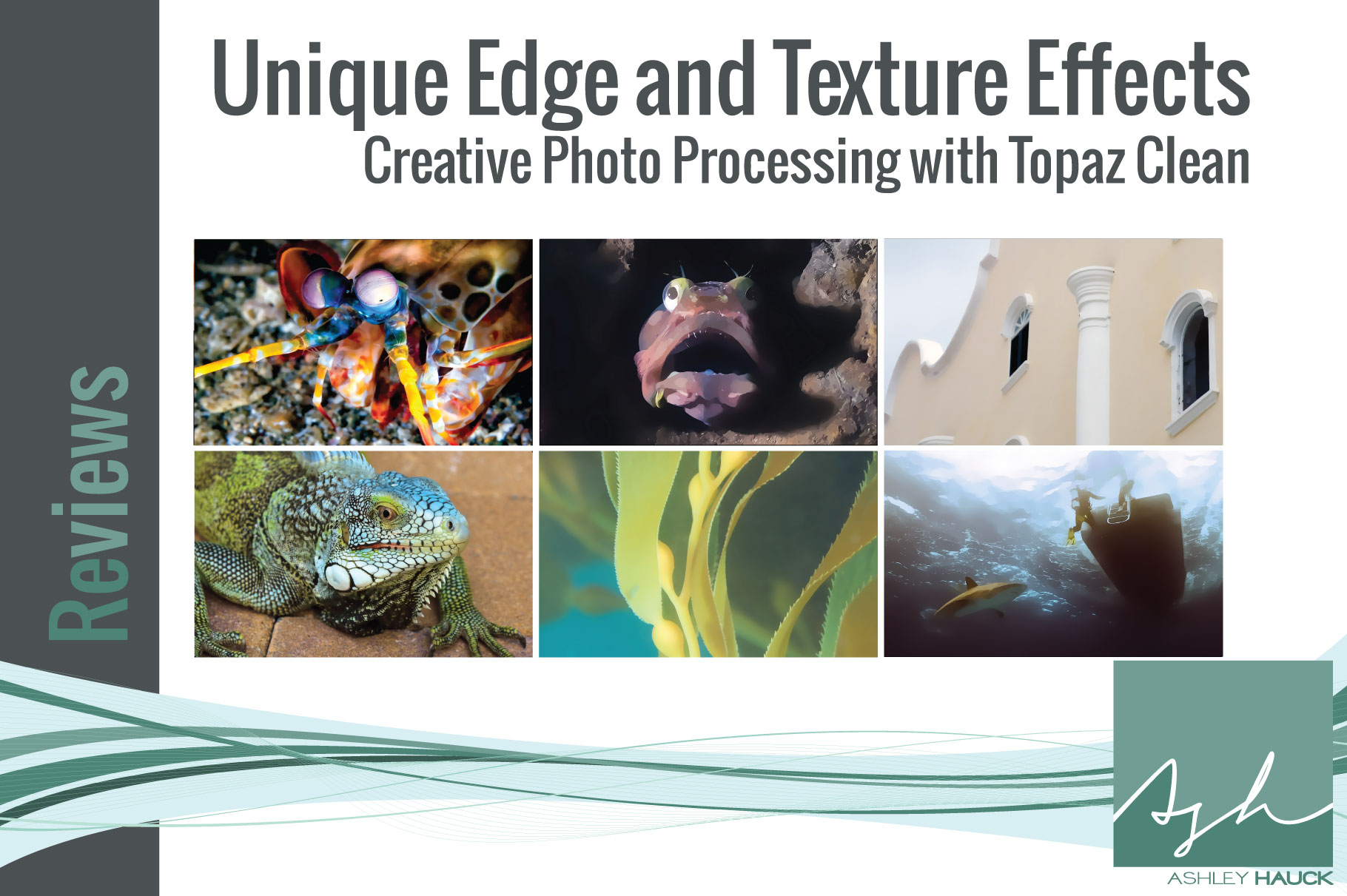 Cartoonize Your Photos with Topaz Clean